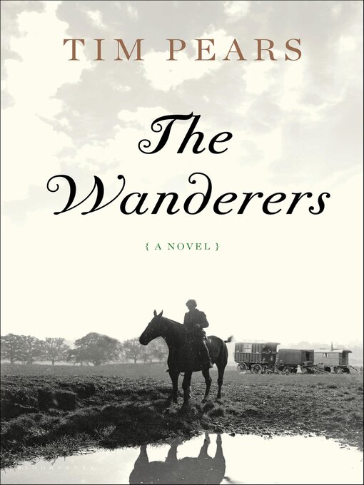 Cover image for The Wanderers